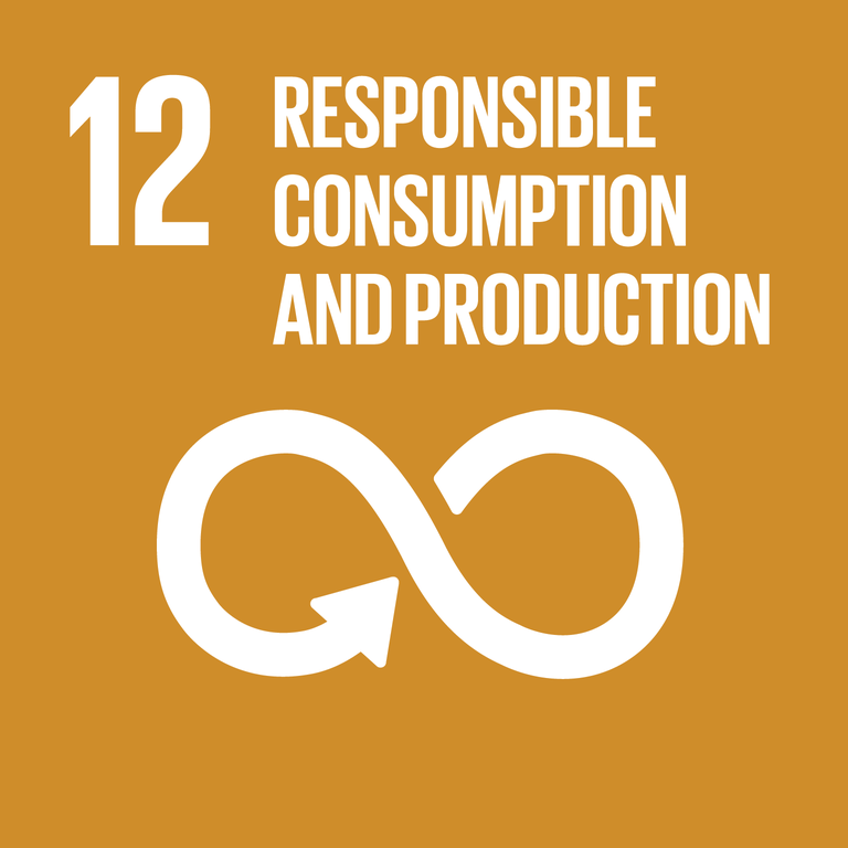 Sustainable_Development_Goal_12.png